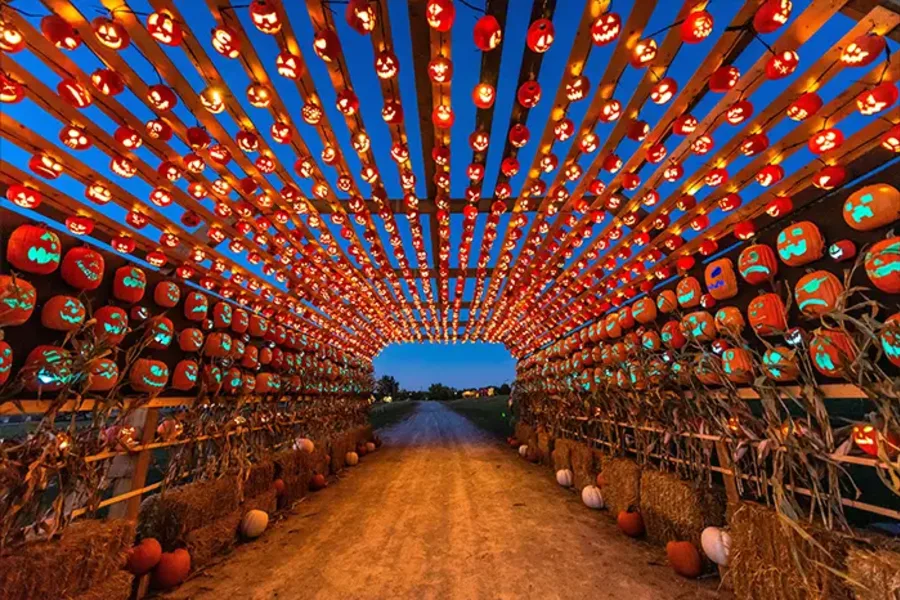 Ready to walk through the glow?