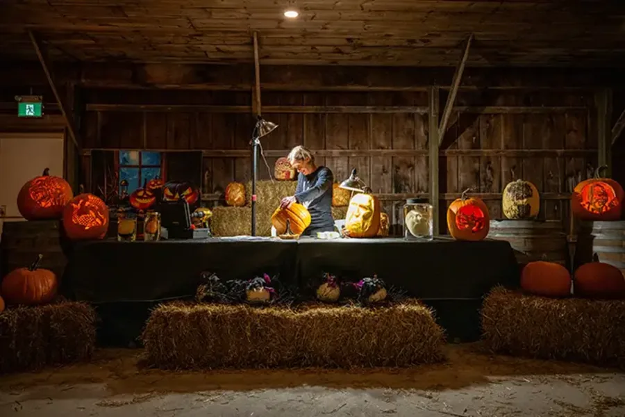 Step into a world where pumpkins come to life